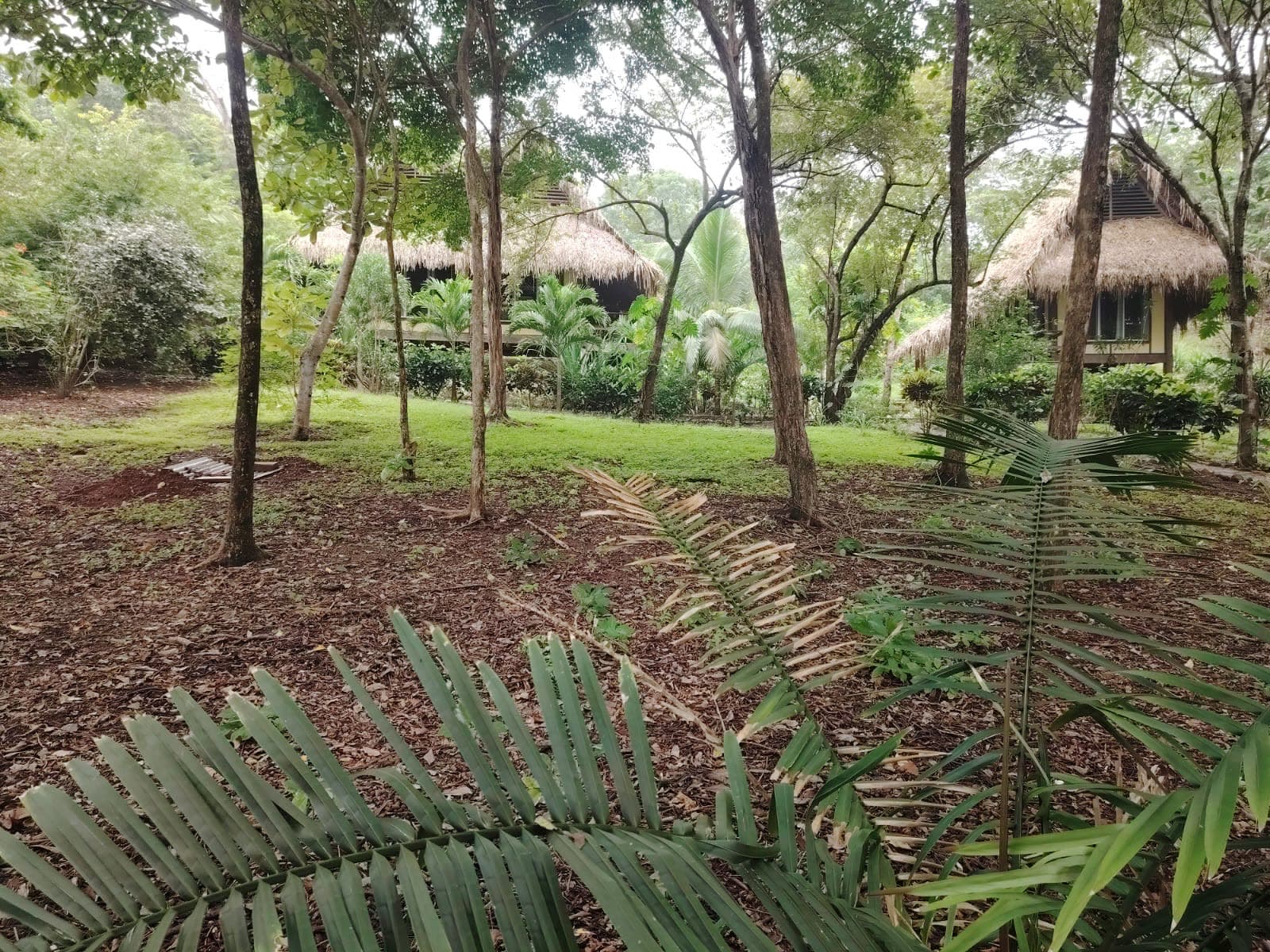 Piscina en Eco Venao — Playa Venao, Pedasí