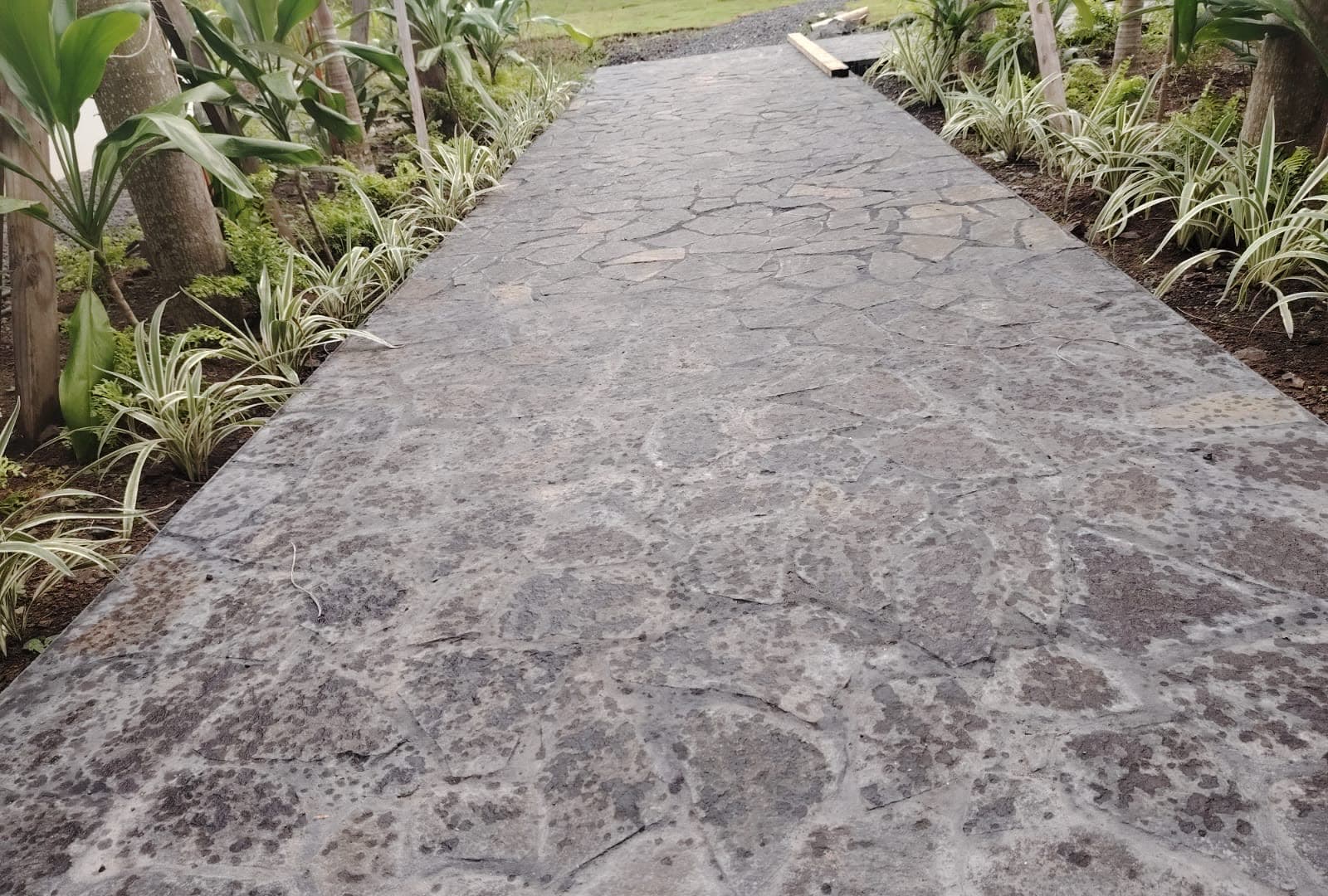 Piscina en Eco Venao — Playa Venao, Pedasí